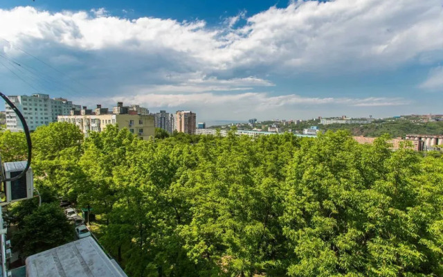 Na Prospekte Krasnogo Znameni 91 Flat