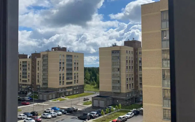 Prostornaya Kvartira V 5 Min Ot Nii Petrova/Granova Lodging House