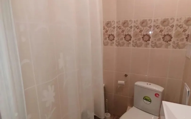 Comfortable Studio Vladimir Apartments