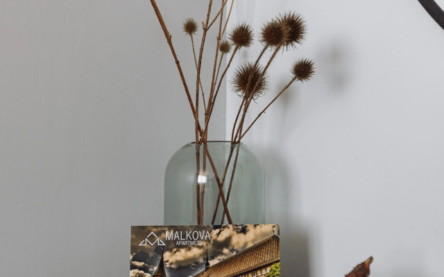 Апартаменты Malkova Аpartments на Прибрежной