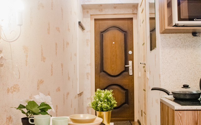 Апартаменты Уютная студия в самом сердце Петербурга