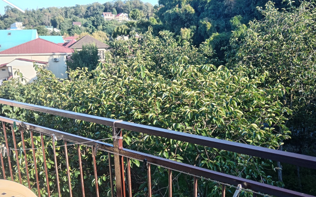 Oazis Na Molodezhnoj Guesthouse