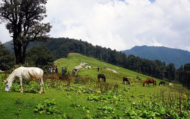 Agyaat Vaas`Hotel