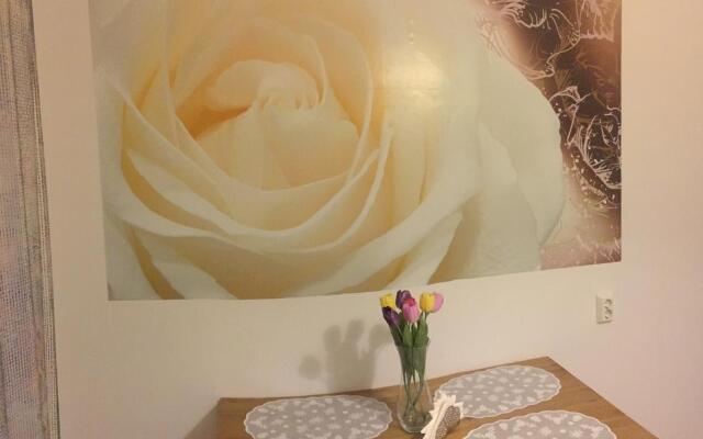 Romantic Class Apartments
