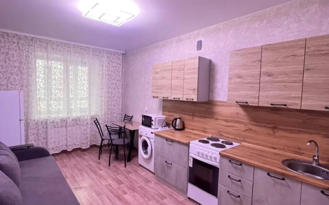 Na Ulitse Pushkina 66/2 Apartments