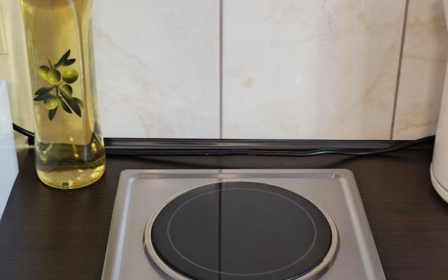 Квартира Студия с видом на Машук