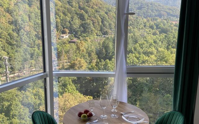 Dizaynerskaya Studiya S Panoramnym Vidom Flat