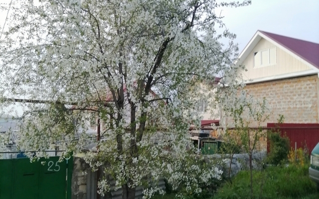 Zhidkova Guest house