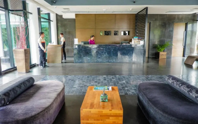 Z Through by The Zign