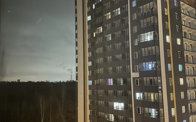 Апартаменты C видом на лес