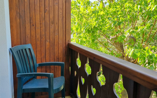 Shalyapin House Guest House