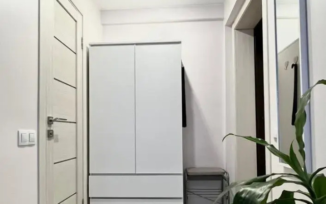 Квартира с окнами на лес