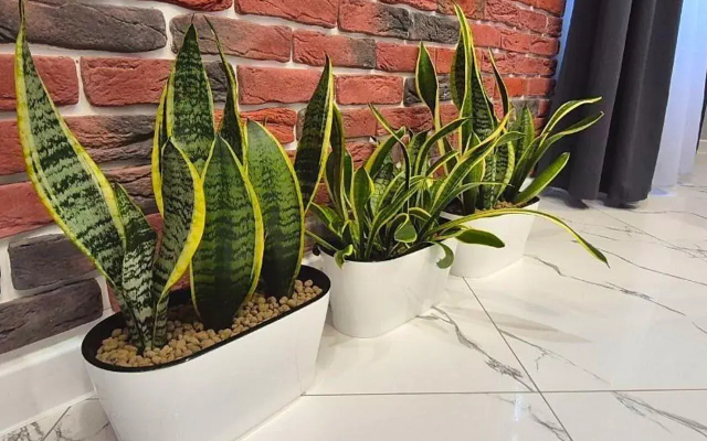 Квартира в центpе Tюмени в ЖK Сity Zen