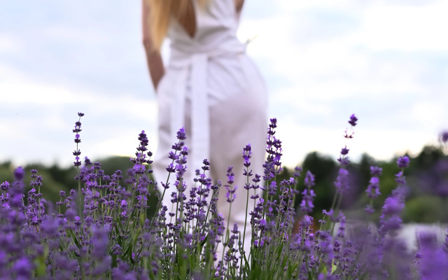 Шале Лаванда