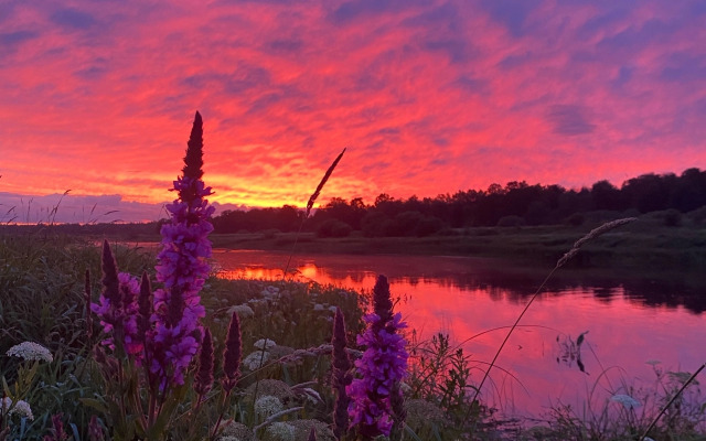 Частный дом Дом у реки в английском стиле