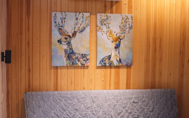 Oshotel Guest house