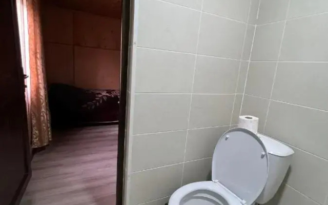 Old Omalo Guest house