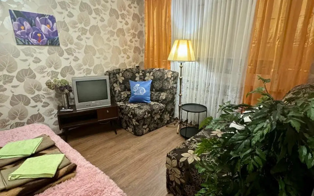 Na Chaykovskogo Flat