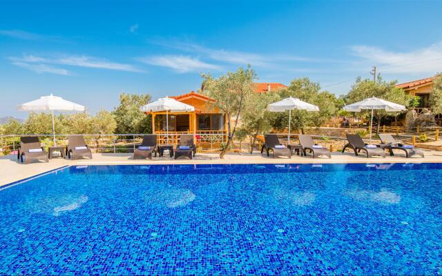 Doganin Ruhu Mini-hotel