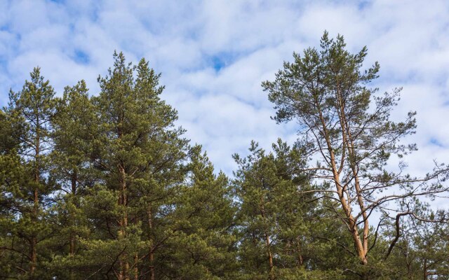 База отдыха  Вселуг