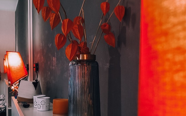 Квартира в исторической части города