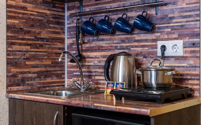 Studio Loft near Moscow Train station Flat