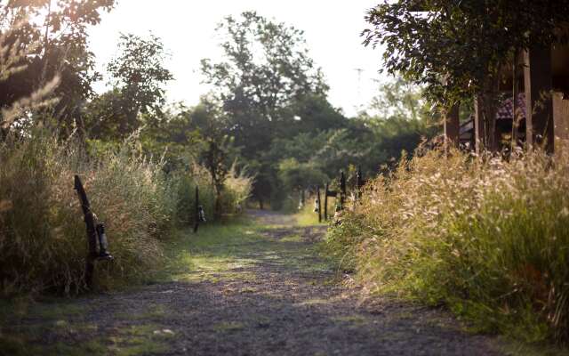 Pugdundee Safaris-king lodge Lodging house