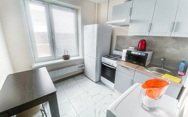 Vozle Sheremetyevo Flat
