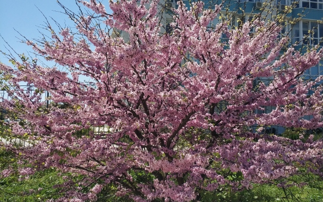 Апартаменты На пляже