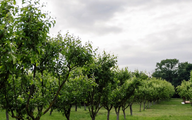 Apparadise Glamping&Spa
