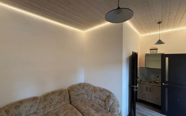 Частный дом студия Junglе