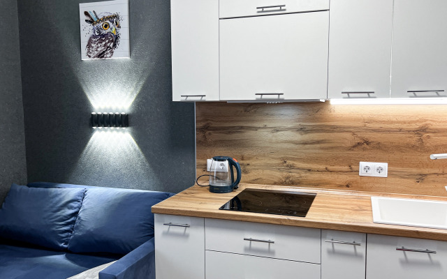 Morskaya Simfoniya v Kurortnom Gorodke Flat