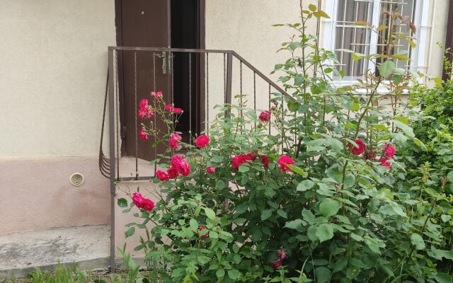 Двухкомнатная  квартира в Центре на Рожанского