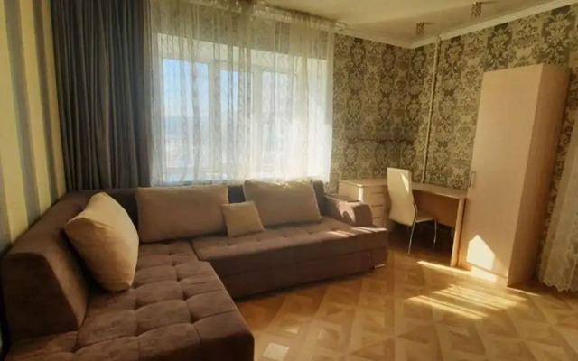 2kh-Komnatnaya V Tsentre Goroda Flat