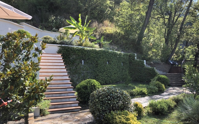 More I Palmyi Guest House