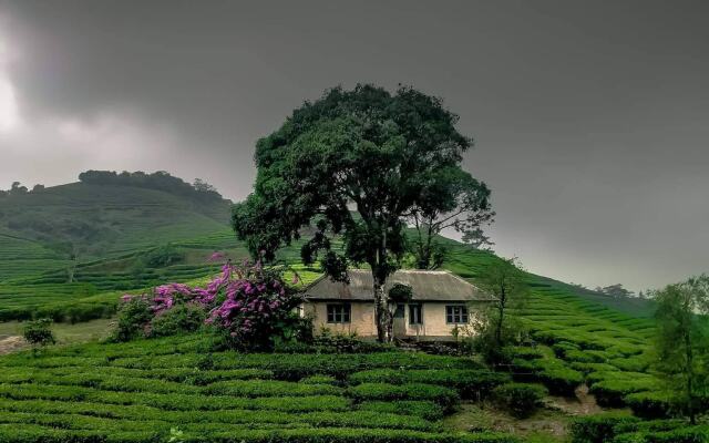 Moon Hill Resort Munnar ( Nature Retreat )