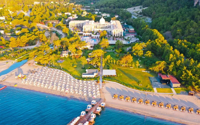 Juju Premier Palace 