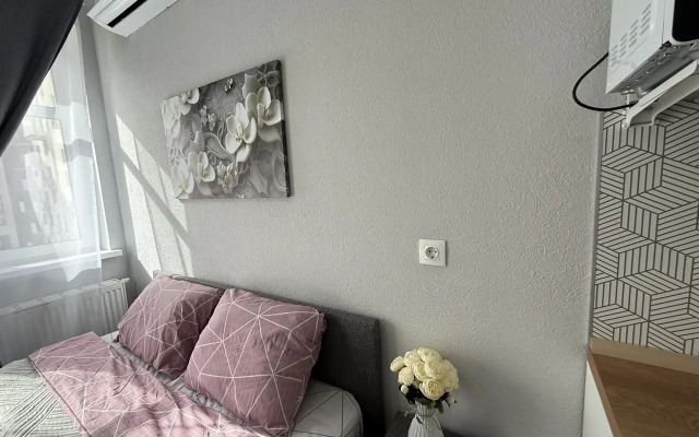 Studiya V Tsentre Yaroslavlya Flat