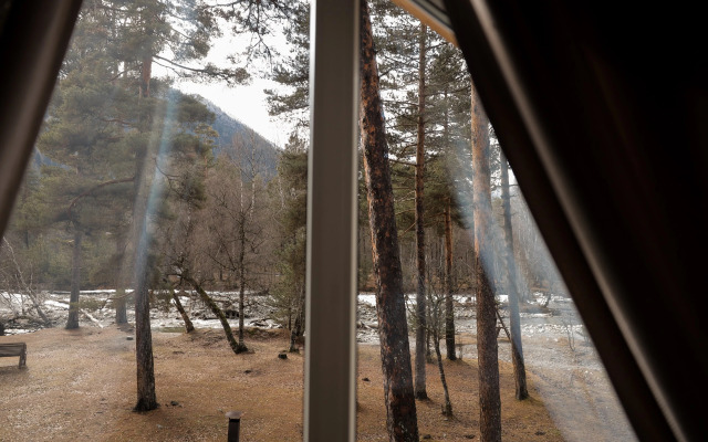 Гостевые дома Шишка