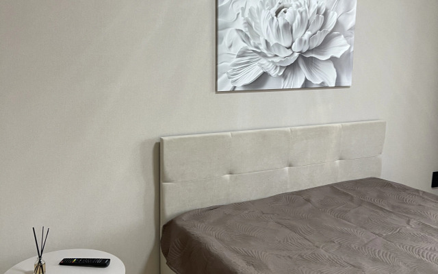 Квартира Красноармейский 106А