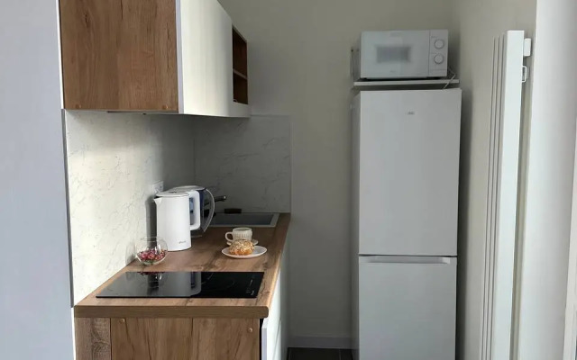 Studiya V Zhzh Prokshino Flat