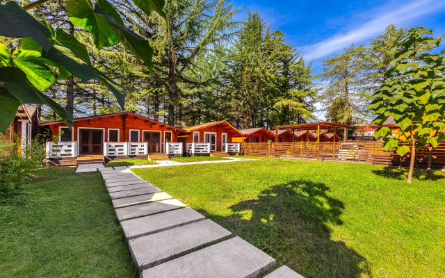 Hotel Eco House Pitiunt Resort