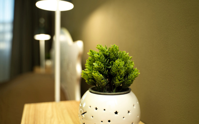 Квартира 1-комнатная на ул. Планерная 3