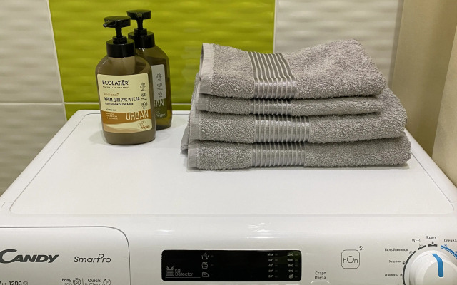 V Tsentre Goroda Flat
