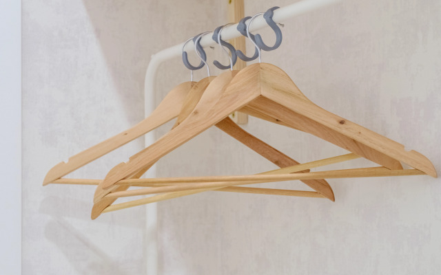 Квартира Студия "Шишки"