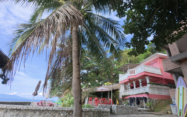 Отель FreeDive Inn