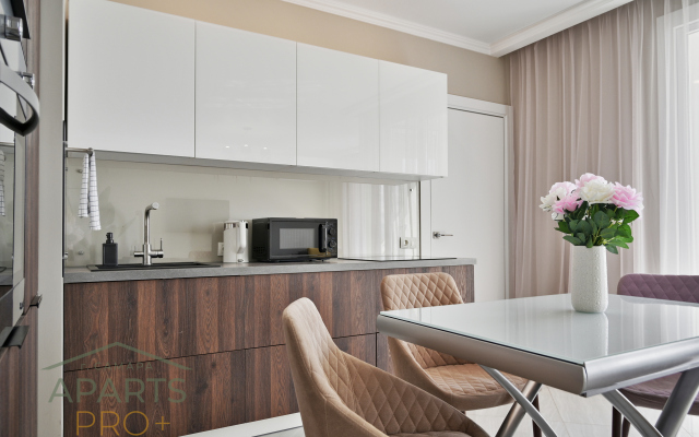 Aparts Pro Stilnaya evro 2-kom v centre Samary Flat