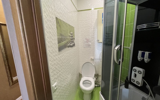 V Tsentre Goroda Flat