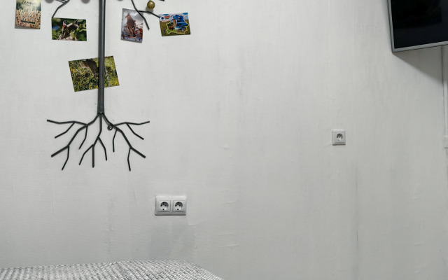 Апартаменты в белорусском стиле Беловежская пуща