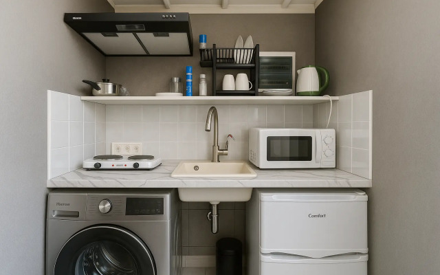 Апартаменты Делюкс Мини